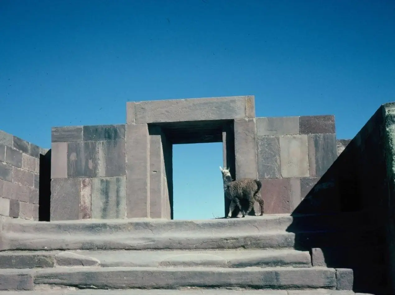 So Long South America Book